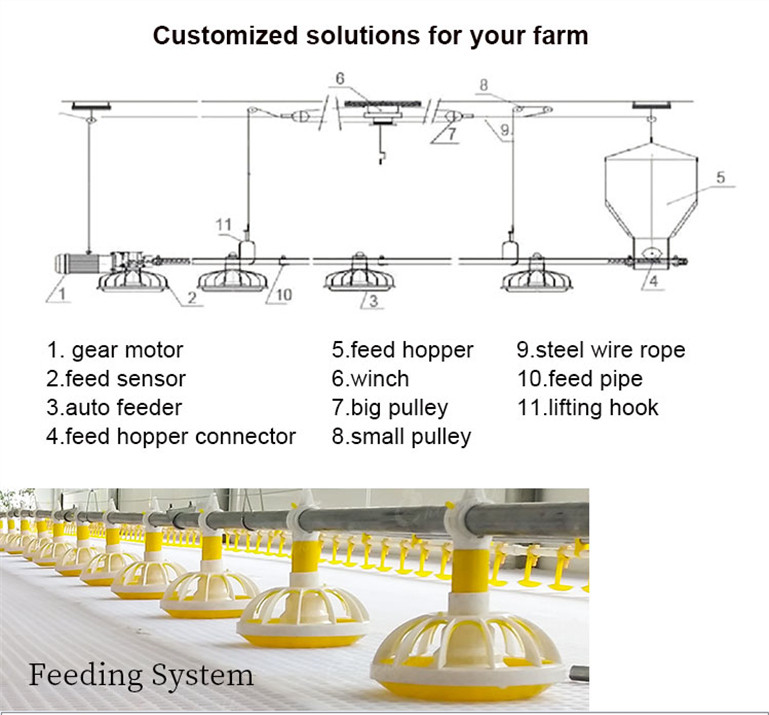 Poultry farm feeding system (3)