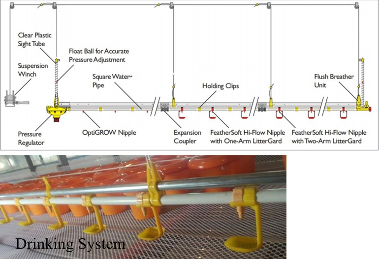 Poultry watering system (10)