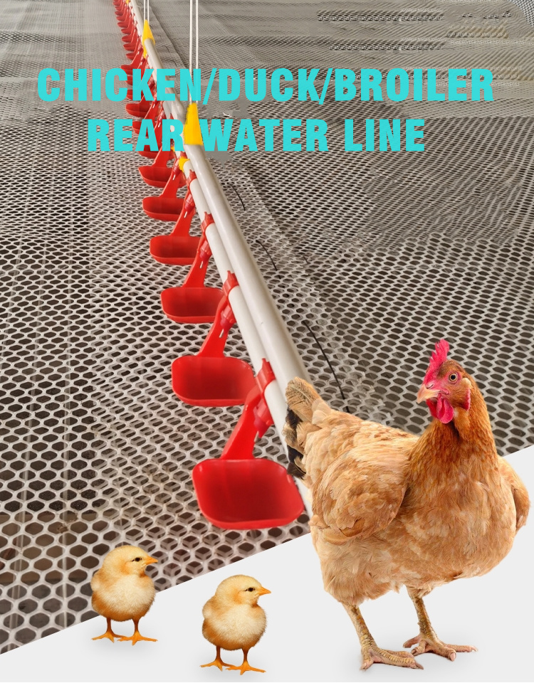 Poultry watering system (2)