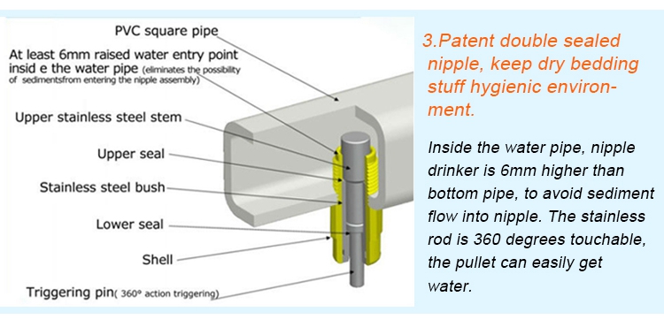 Poultry watering system (6)