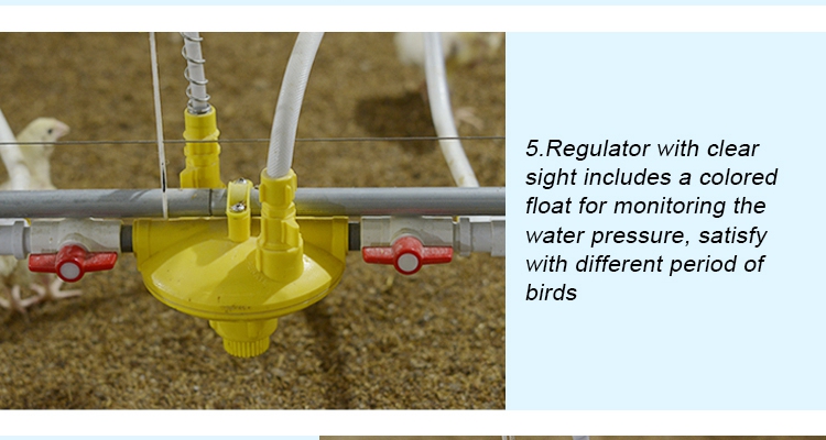 Poultry watering system (8)