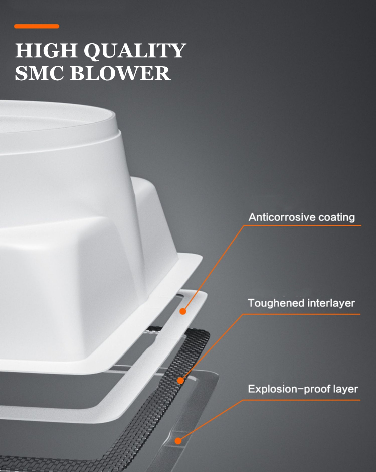 SMC ventilation fan (2)