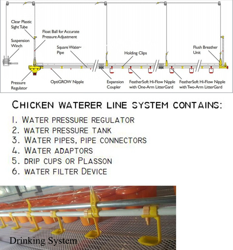 automatic chicken watering system (3)