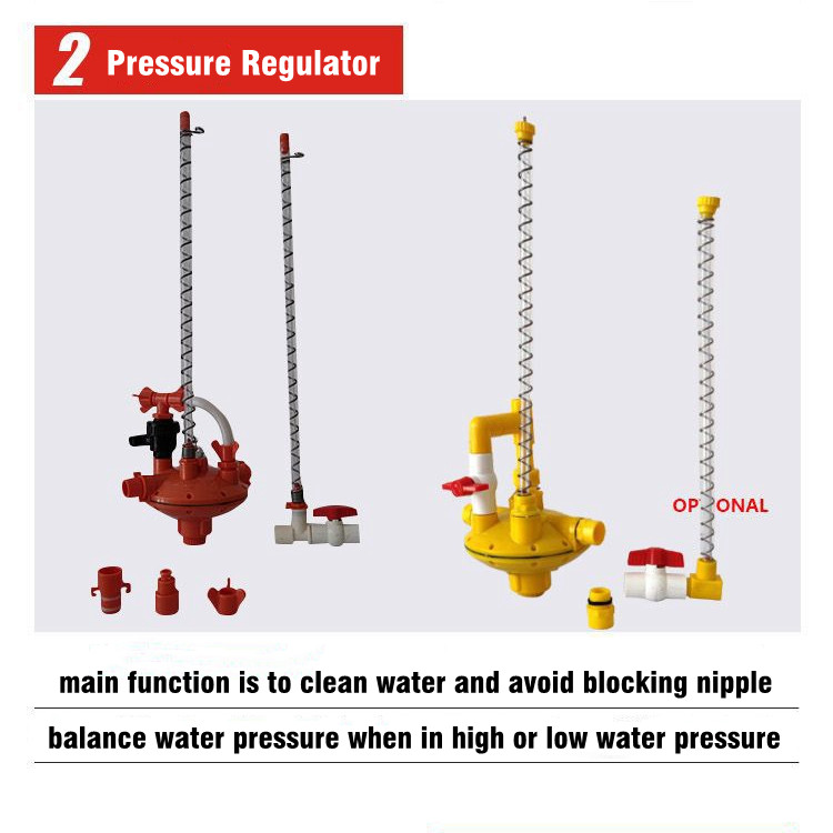 automatic chicken watering system (6)