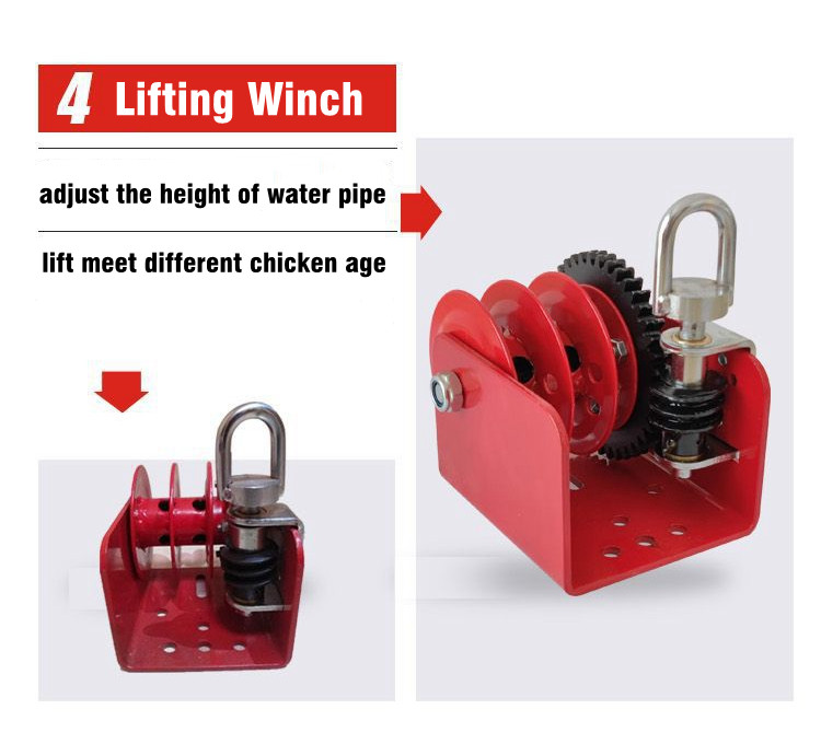 automatic chicken watering system (8)