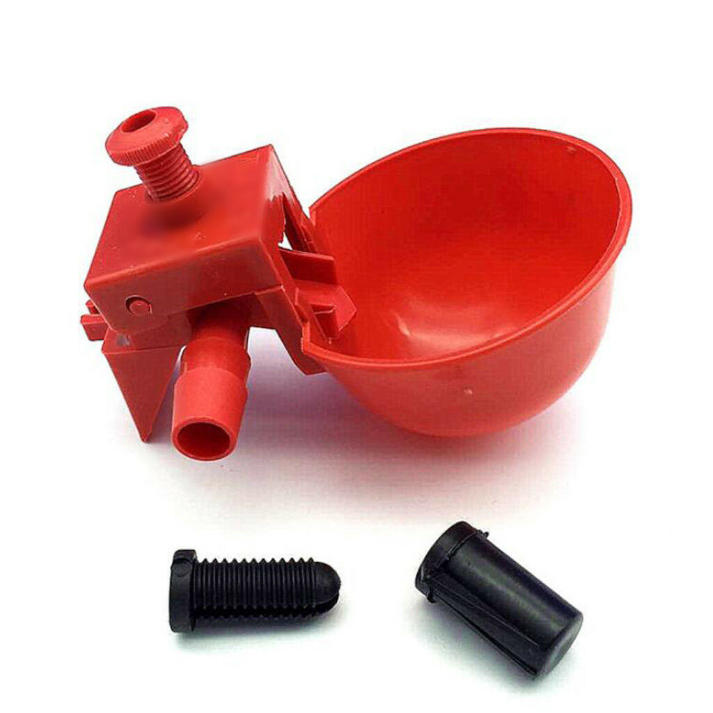 Factory Direct Pigeon Water Feeder Cups | Quality Guaranteed!