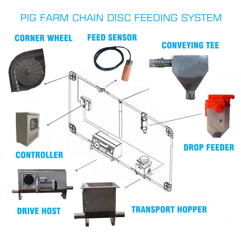 pig feeding equipment (4)