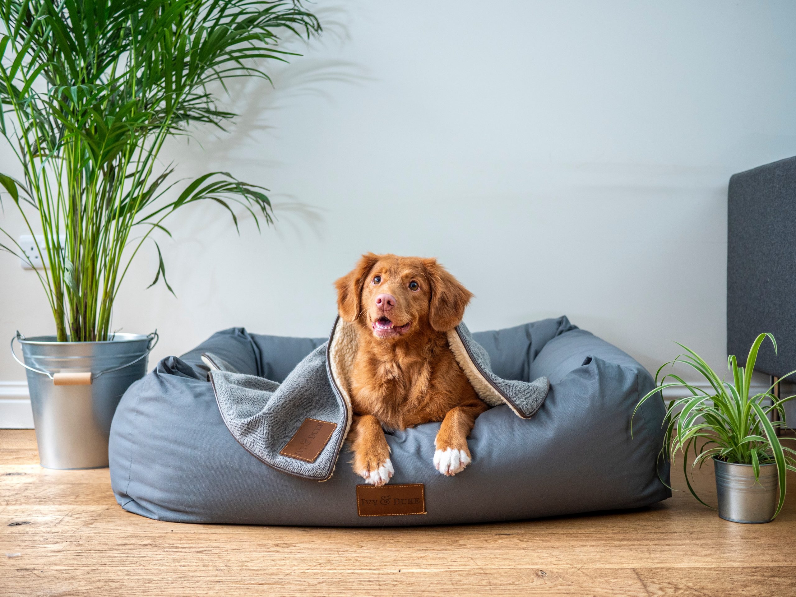 Rabbit Cages | Orthopedic Dog Beds, Dog Bowls and Feeders, Dog Carriers, Rabbit Cages, and other innovative Pet Products!