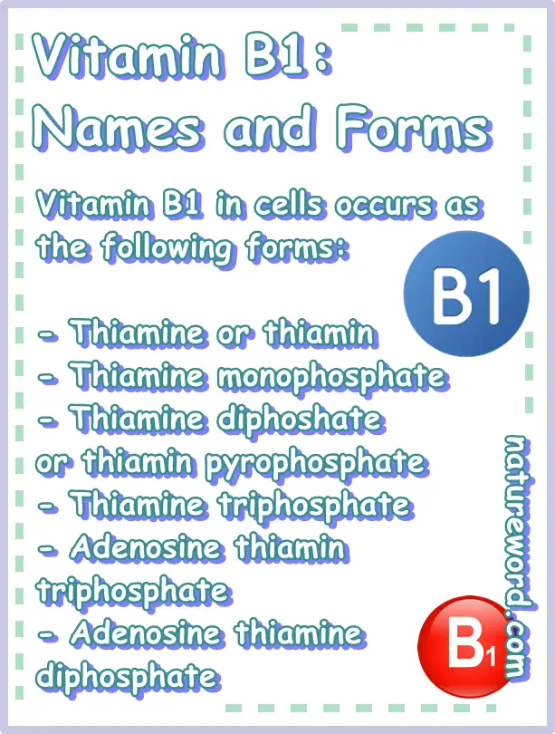 Vitamin B1 Supplier - Pandachem