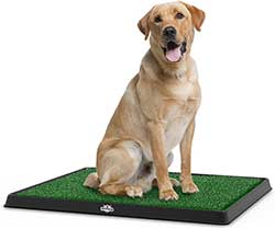 Artificial Grass for Dogs | Pets | Cats | Small Animals