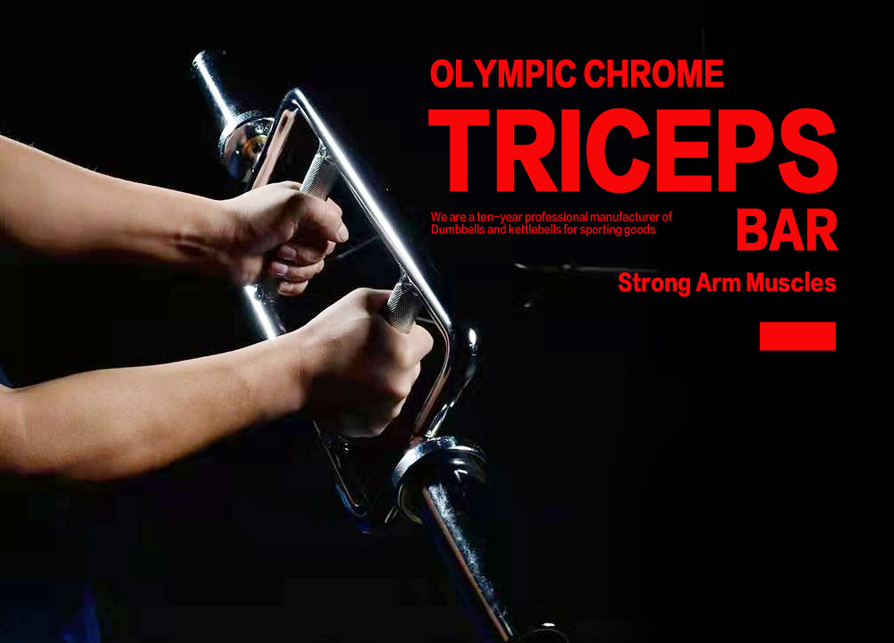 Standard Spinlock Triceps Bar