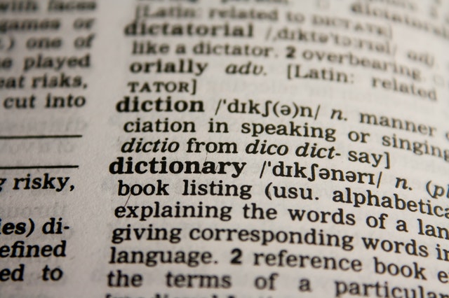 LOOSE | definition in the Cambridge English Dictionary