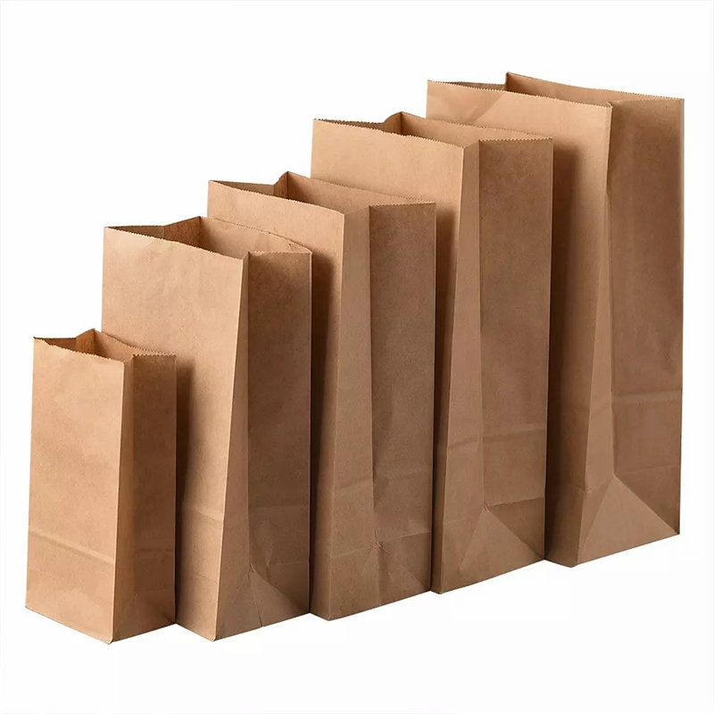 Wholesale Large Brown Kraft <a href='/food-paper-bag/'>Food <a href='/paper-bag/'>Paper Bag</a></a>s with Custom Logo - Direct from Factory