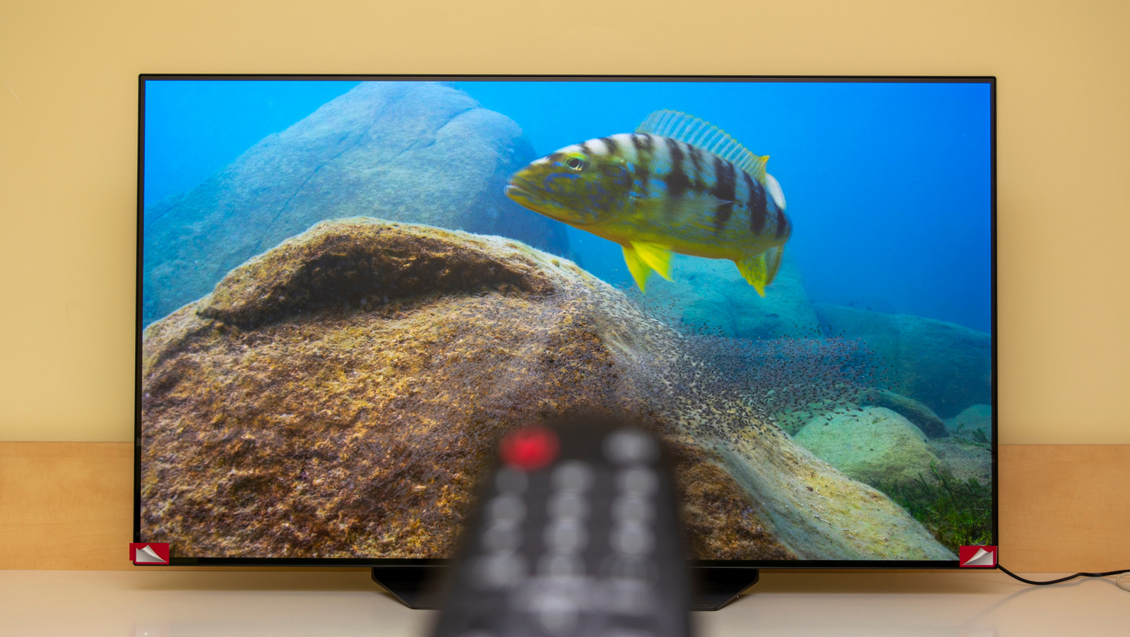 Why Your TV Looks Blue (And How To Fix It)