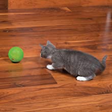 slim cat ball slimcat feeder toy puzzle