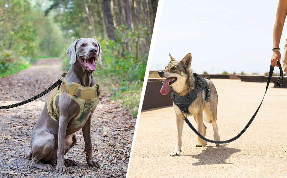 tactical harness dog