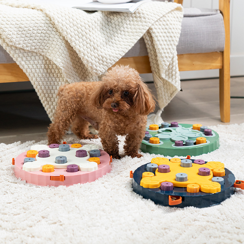 Illustration of Interactive Feeding Experience For Pets