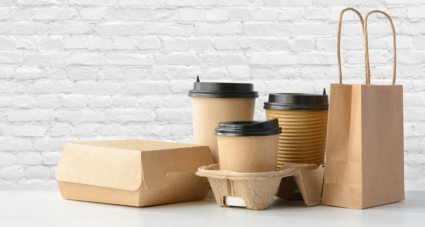 Buy the <a href='/biodegradable/'>Biodegradable</a> Takeaway Containers Online in Adelaide