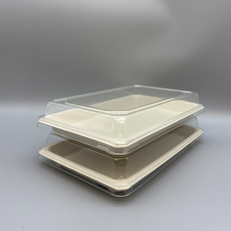 Takeaway Sushi Tray | Bagasse | <a href='/compostable-food-packaging/'>Compostable Food Packaging</a>