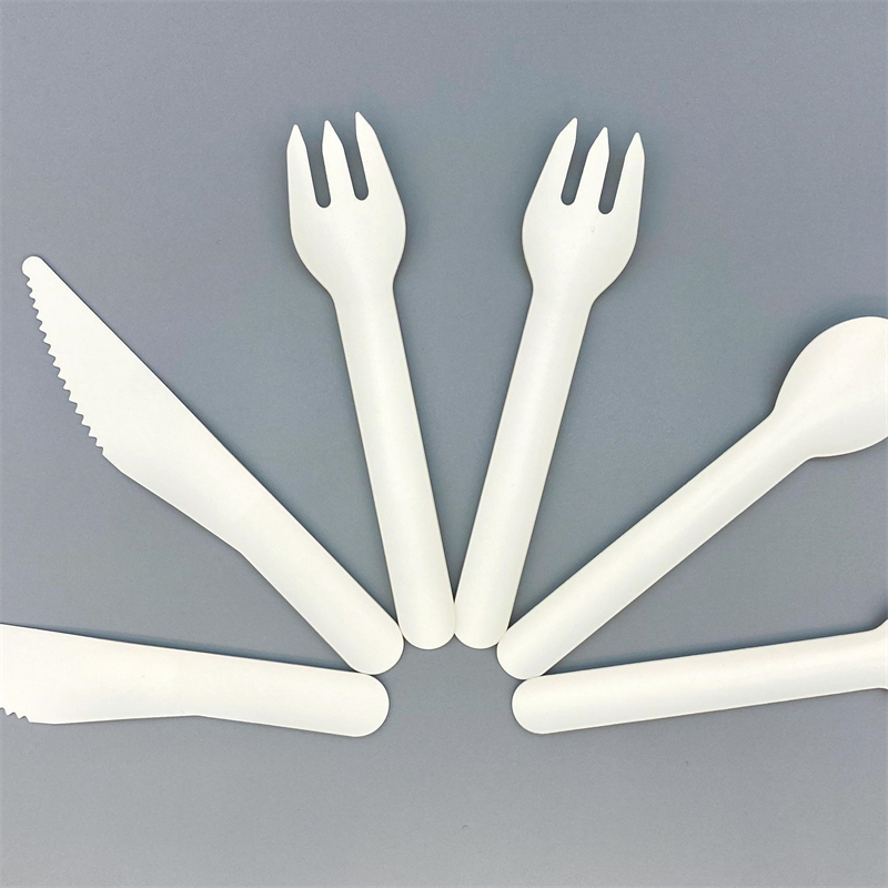 Water-Based Coating Paper <a href='/cutlery/'>Cutlery</a> Set | MVI ECOPACK