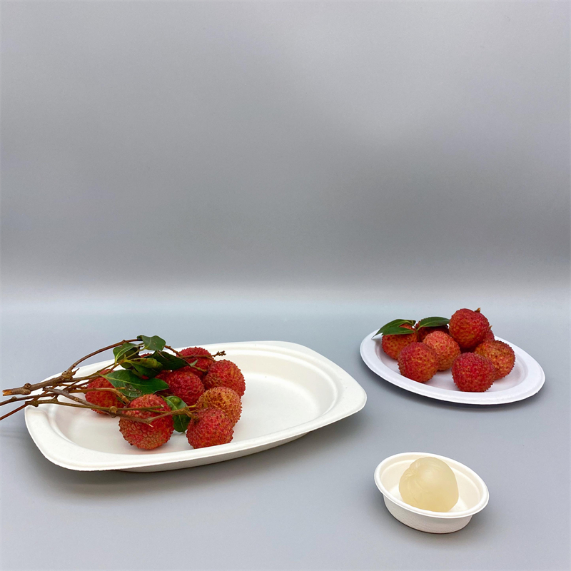 <a href='/biodegradable/'>Biodegradable</a> Disposable Sugarcane / Bagasse Oval Dinner Plates