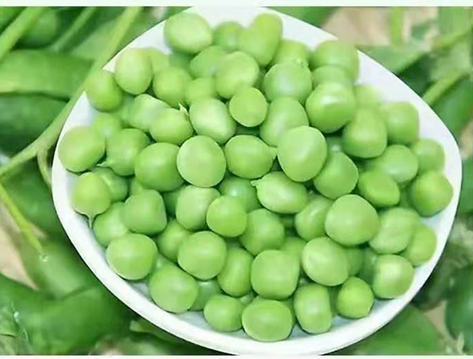 Best Selling High Quality Chinese Fresh IQF Frozen Green Peas frozen vegetales for mixed