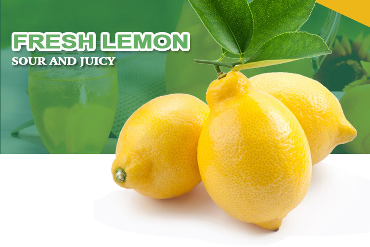 High Quality China Wholesale Fresh Yellow Lemons