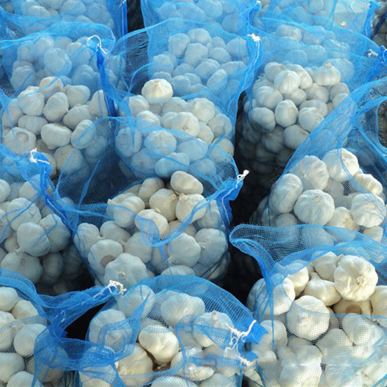 fresh garlic and ginger fresh garlic importer normal white pure white garlic price in china