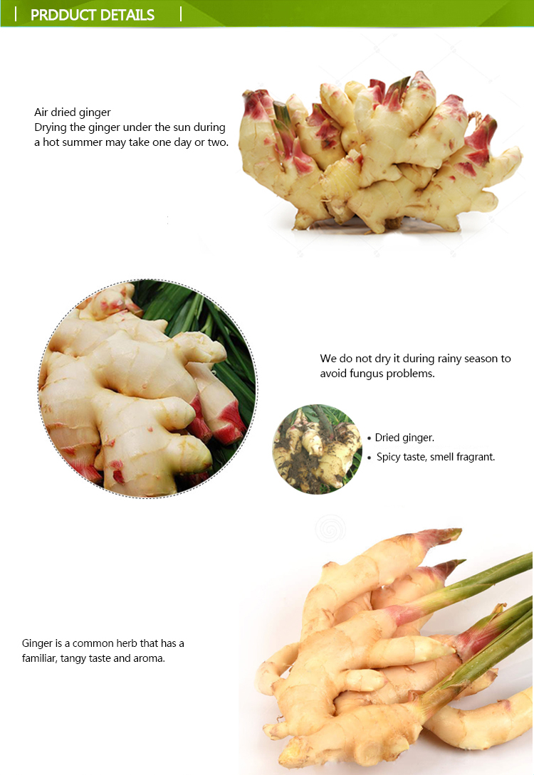 2021 Wholesale organic fresh ginger for export