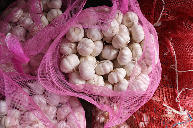 fresh garlic and ginger fresh garlic importer normal white pure white garlic price in china