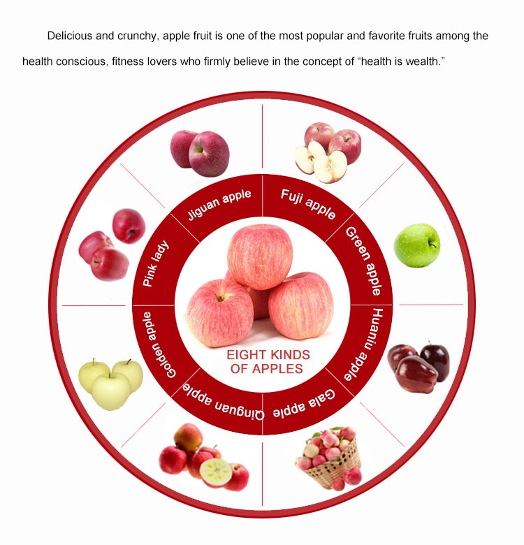 Fuji apple exporter in china