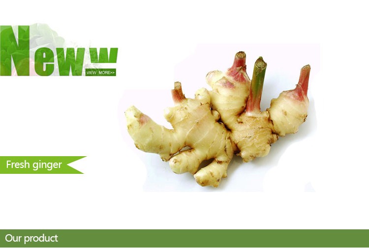 China Export Price 1kg China Mature Fresh Ginger