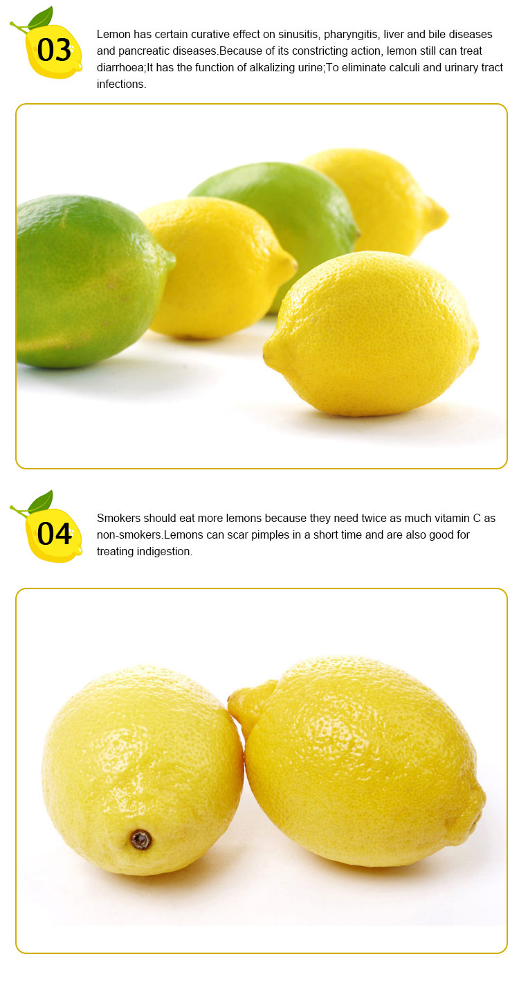 High Quality China Wholesale Fresh Yellow Lemons