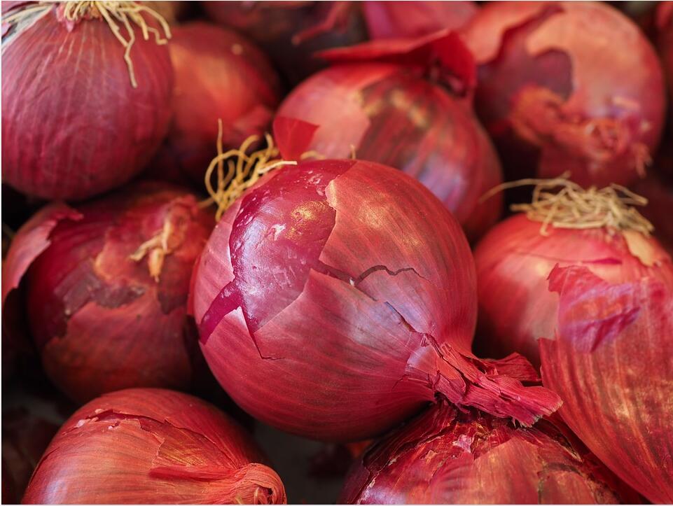 Fresh excellent grade vegetable best price red onion