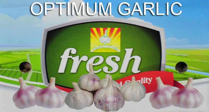 New crop garlic fresh garlic price - 2021 new crop