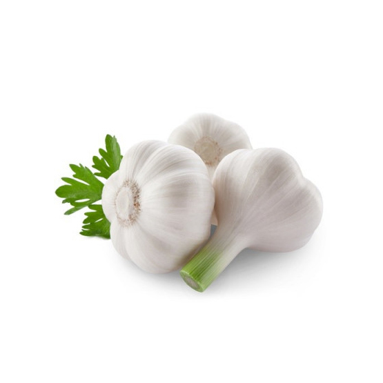 Thai  Low Price Fresh Garlic White Garlic Normal White Garlic