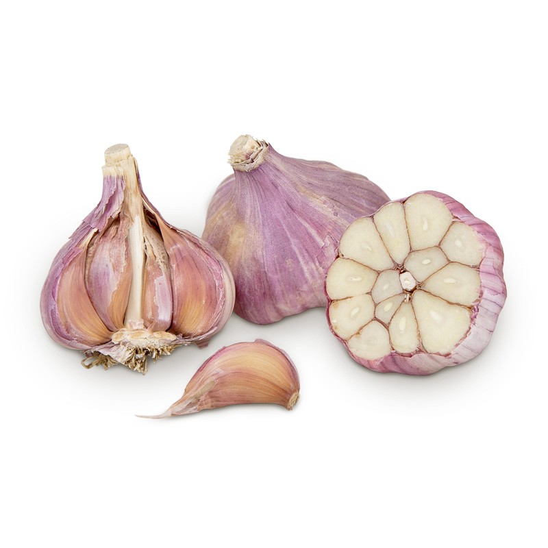 Thai  Low Price Fresh Garlic White Garlic Normal White Garlic