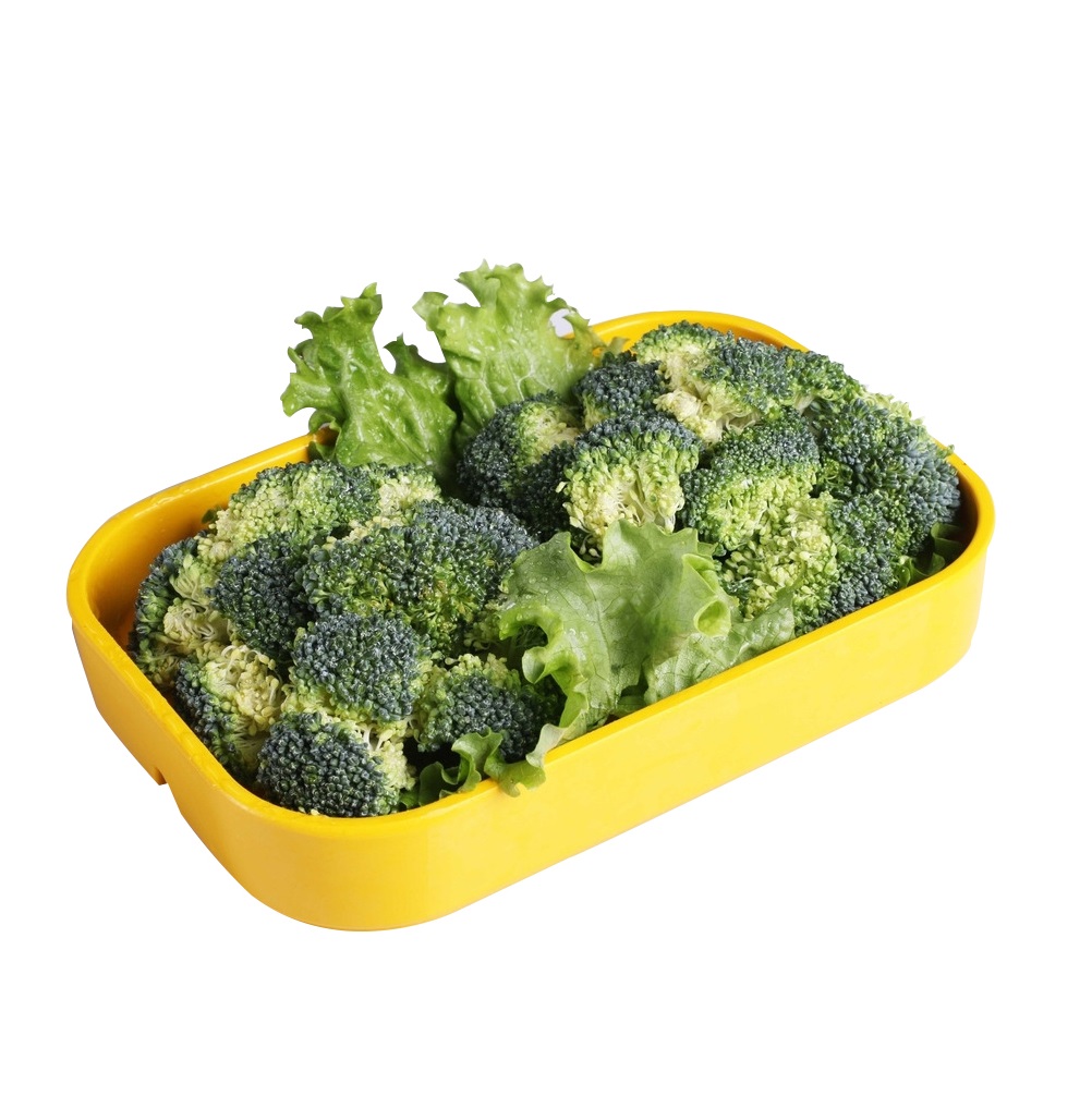 Fresh Broccoli for sale best price and Quality , iceberg lettuce Ready to Export