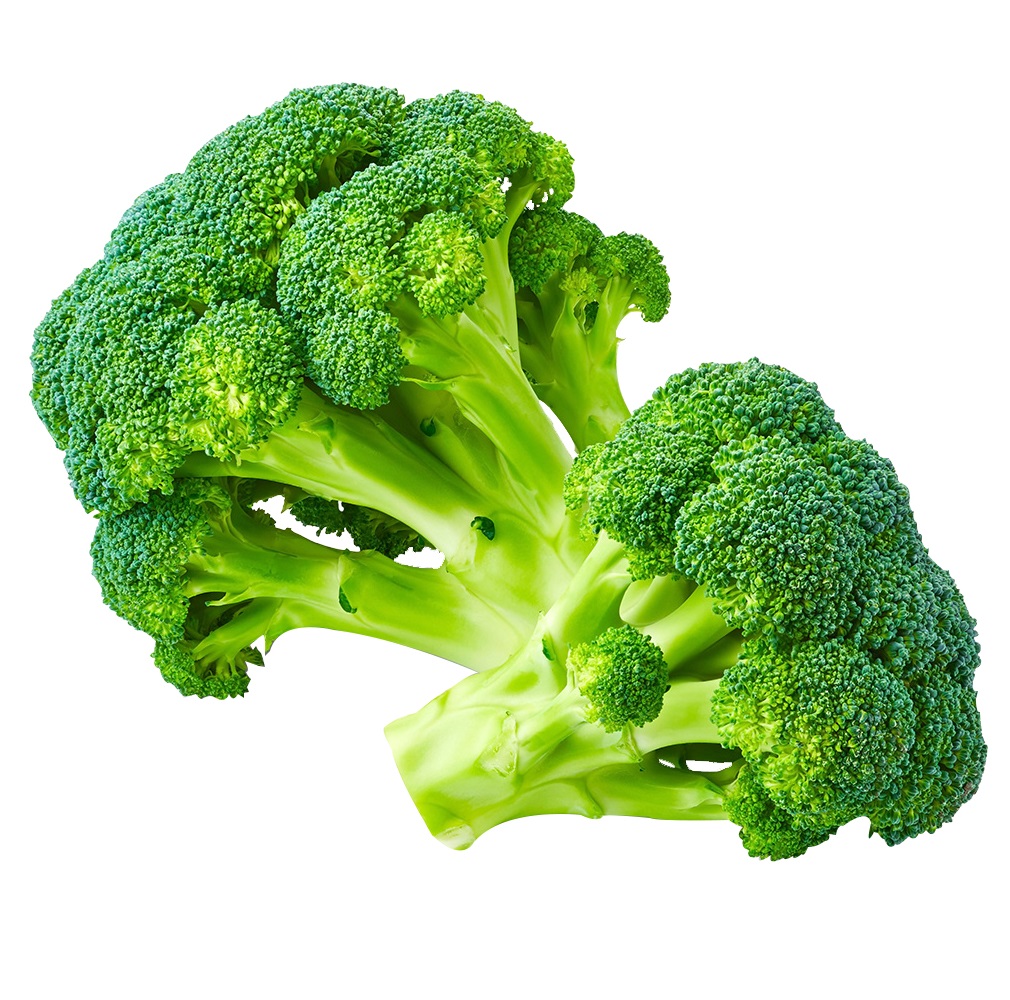 Fresh Broccoli for sale best price and Quality , iceberg lettuce Ready to Export