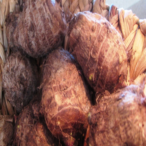 Newest Crop Taro Export, Taro Wholesale, Malanga Fresh Colocasia/ Taro/ Eddo Esculent in Season