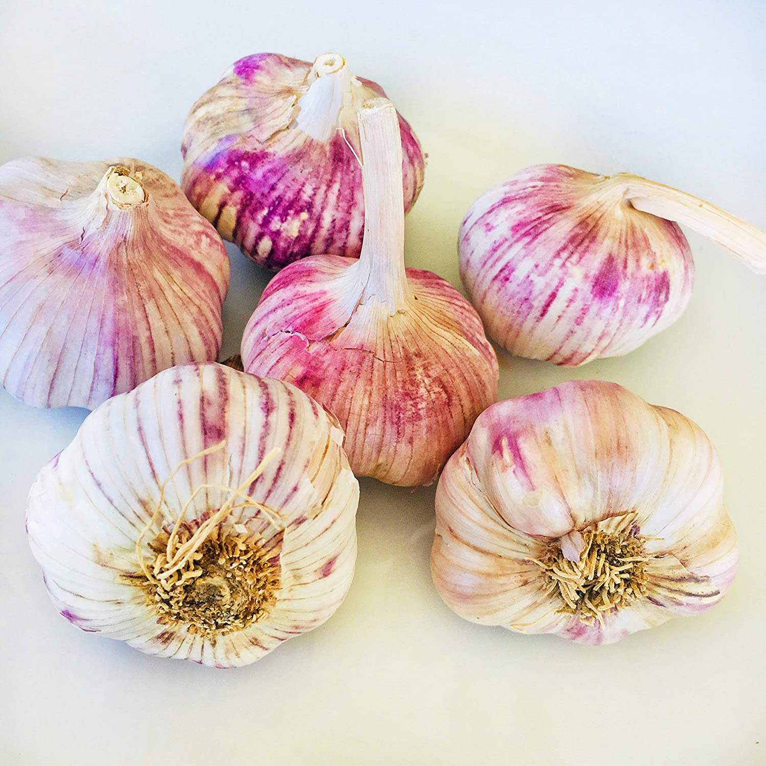 Thai  Low Price Fresh Garlic White Garlic Normal White Garlic