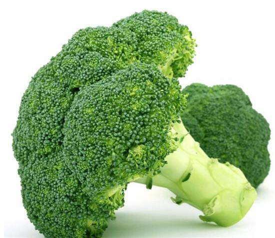 Fresh Broccoli for sale best price and Quality , iceberg lettuce Ready to Export