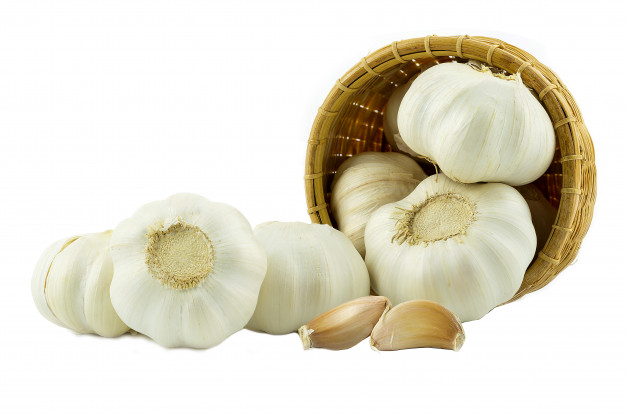 Thai  Low Price Fresh Garlic White Garlic Normal White Garlic