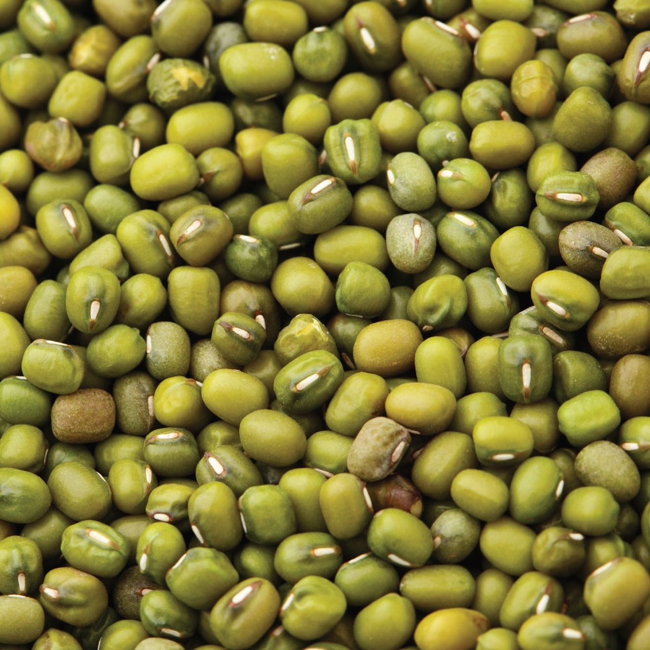 Split  Green Mung Beans