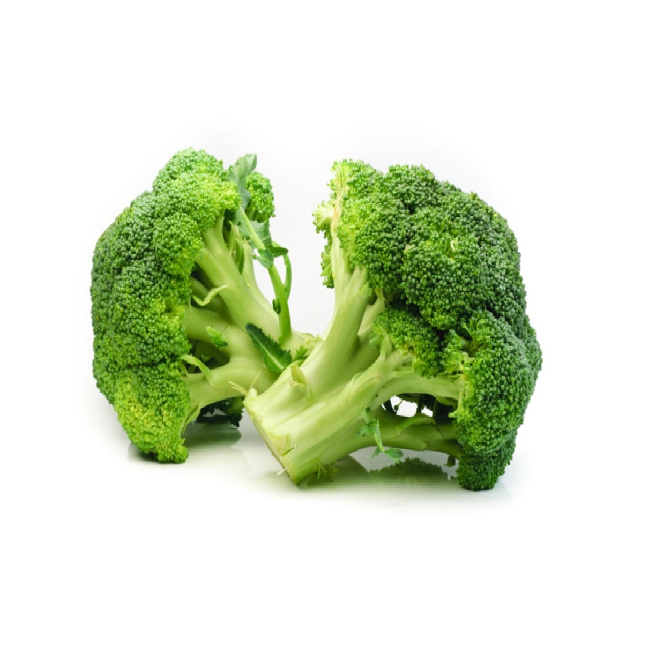 Fresh Broccoli for sale best price and Quality , iceberg lettuce Ready to Export