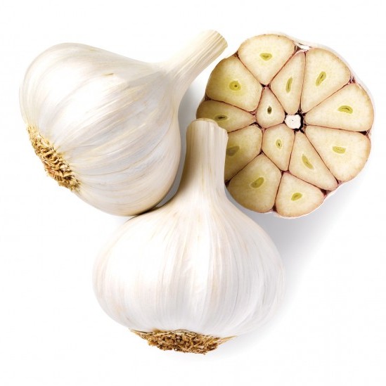 Thai  Low Price Fresh Garlic White Garlic Normal White Garlic