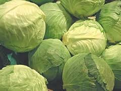 fresh cabbage exporter in India