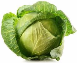 fresh cabbage exporter in India