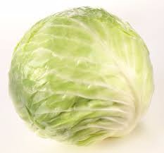 fresh cabbage exporter in India