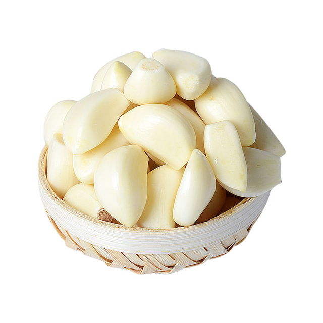 Thai  Low Price Fresh Garlic White Garlic Normal White Garlic